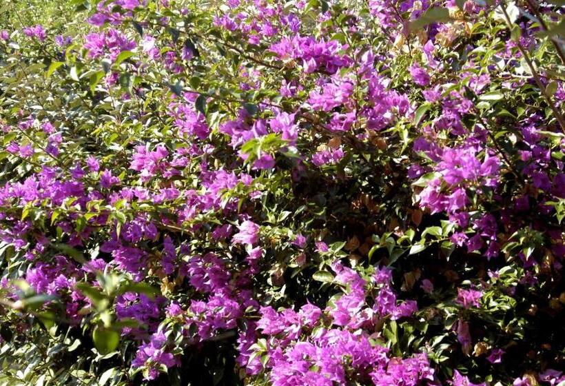 テラス付きスタンダードワンルーム, Agriturismo Campesi Casale Tra Le Vigne