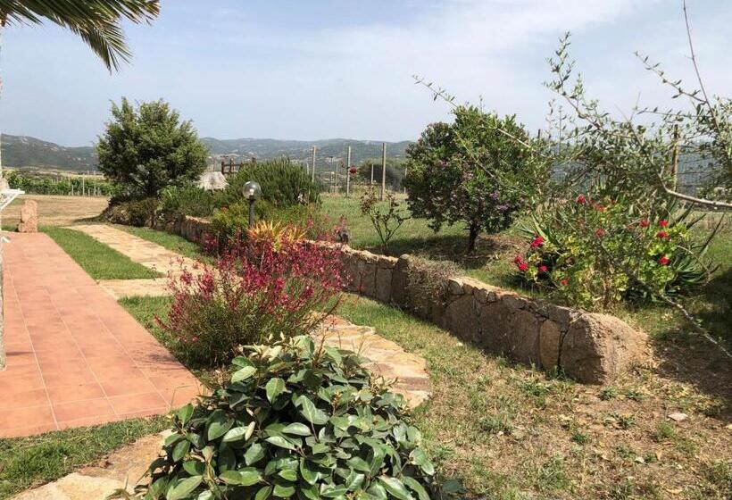 テラス付きスタンダードルーム, Agriturismo Campesi Casale Tra Le Vigne