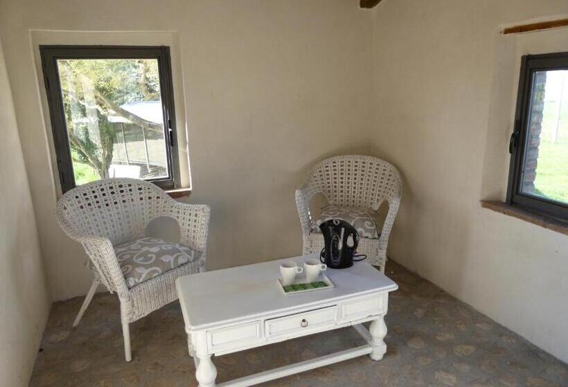 豪华套房, Pietre Di Fiume