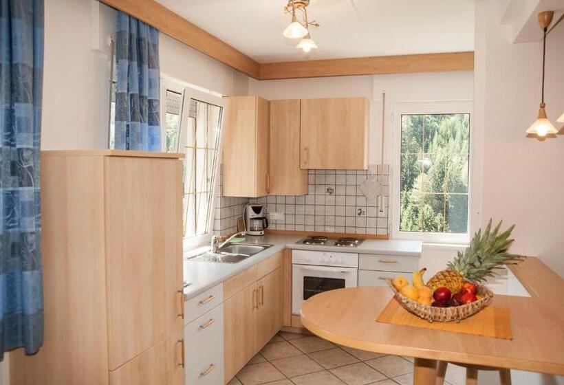 Апартаменты Пентхаус 1 Спальня, Residence Wiesenheim