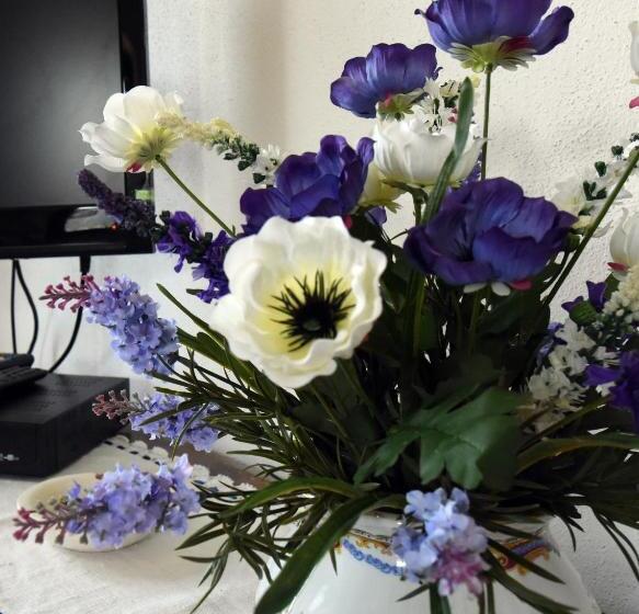 شقة غرفة نوم واحدة بالطابق الأرضى, Agriturismo La Valle Del Sole