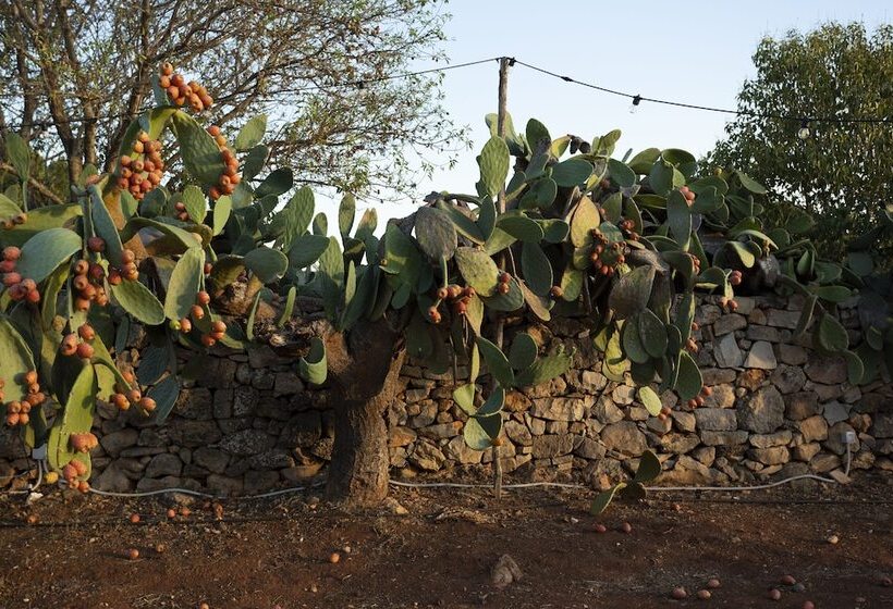 اتاق سوپریور چهار تخته, Podere40 Country