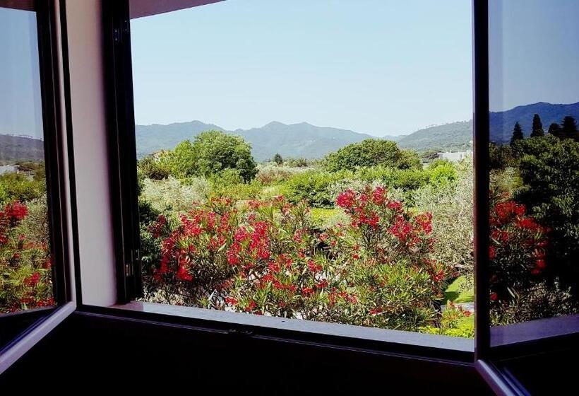 חדר סטנדרט, Salvia E Rosmarino   Affittacamere In Liguria