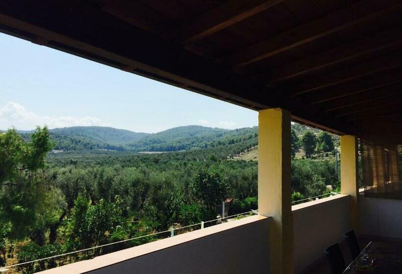 Апартаменты 1 Спальня с Балконом, Agriturismo Azzarone