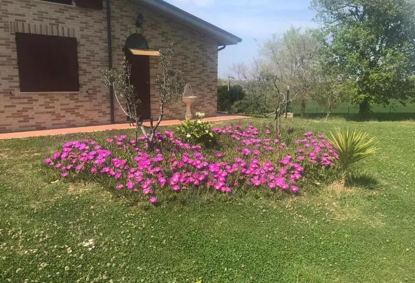 ガーデンビューのスタンダードワンルーム, Agriturismo Bio Verde Armonia