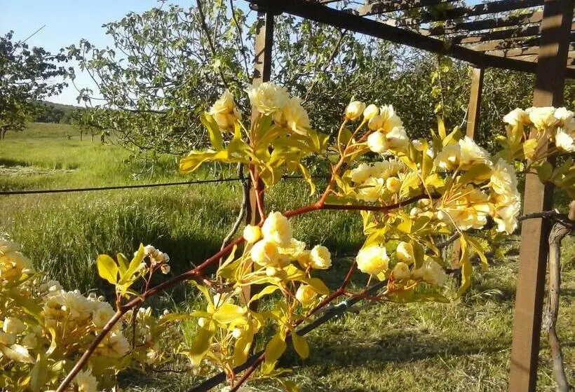 スタンダードルーム, Agriturismo Valiana