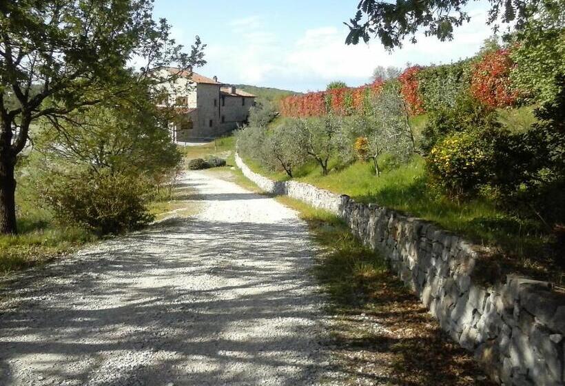 Номер Стандарт, Agriturismo Valiana