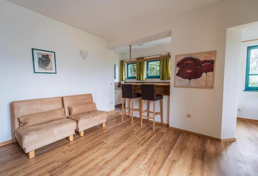 带1个卧室的公寓, Residence Passerhaus