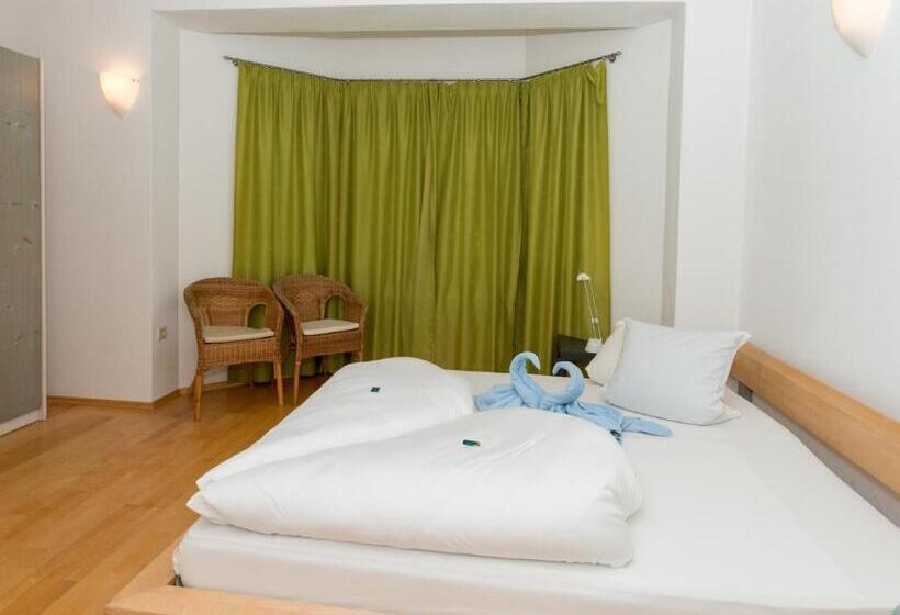 带1个卧室的公寓, Residence Passerhaus