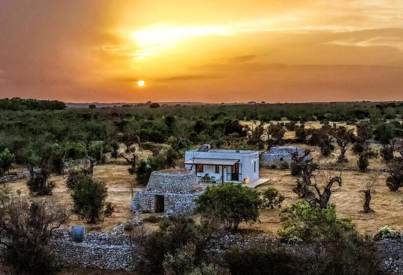 １ベッドルームアパートメント, Casa Barzò   Surrounded By Olive Trees