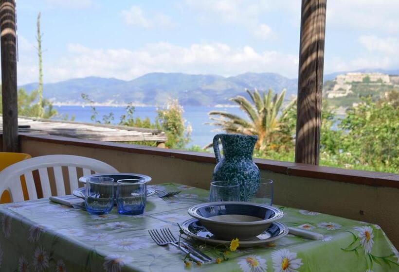 バルコニー付きスタンダードステューディオ, Residence Capobianco