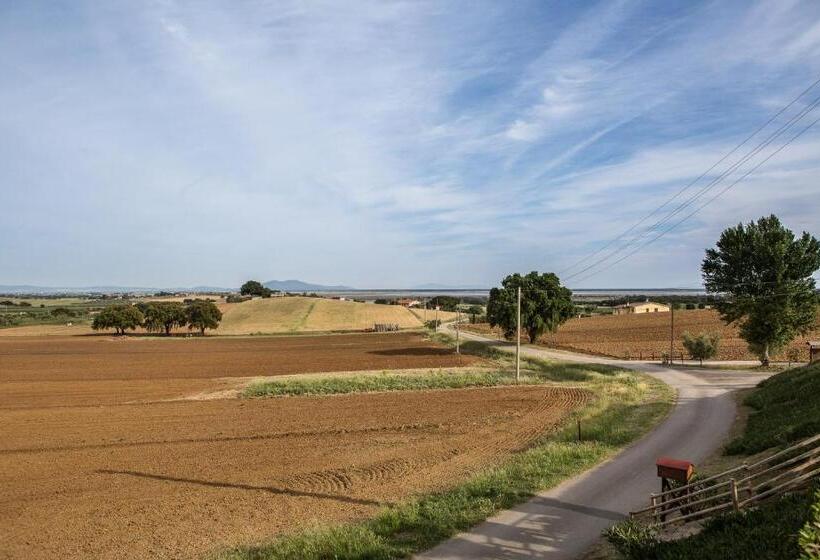 Deluxe-huone, Agriturismo Diaccia Botrona