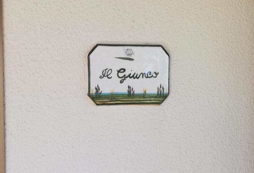 Apartamento 1 Dormitório, Agriturismo Diaccia Botrona
