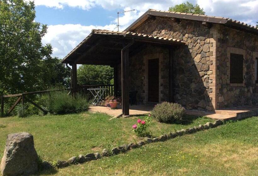 スタンダードスタジオ, Agriturismo Il Morello