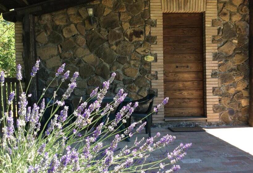 Студия Стандарт, Agriturismo Il Morello