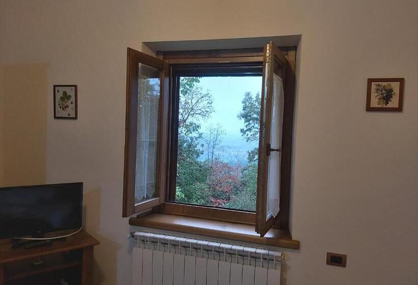 Студия Стандарт, Agriturismo Il Morello