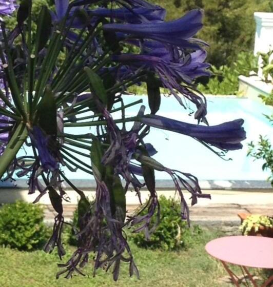 בית, חדר שינה 1, Tenuta Agriturismo Il Risveglio