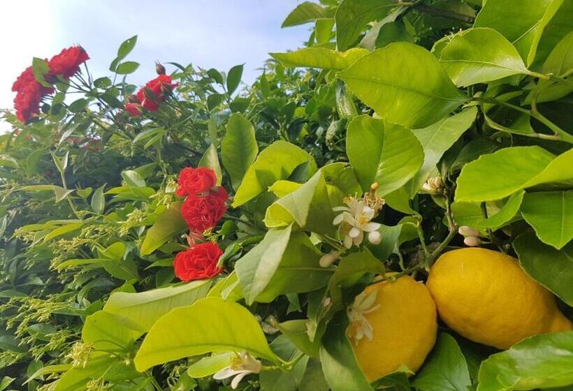 1间卧室的房子, Tenuta Agriturismo Il Risveglio