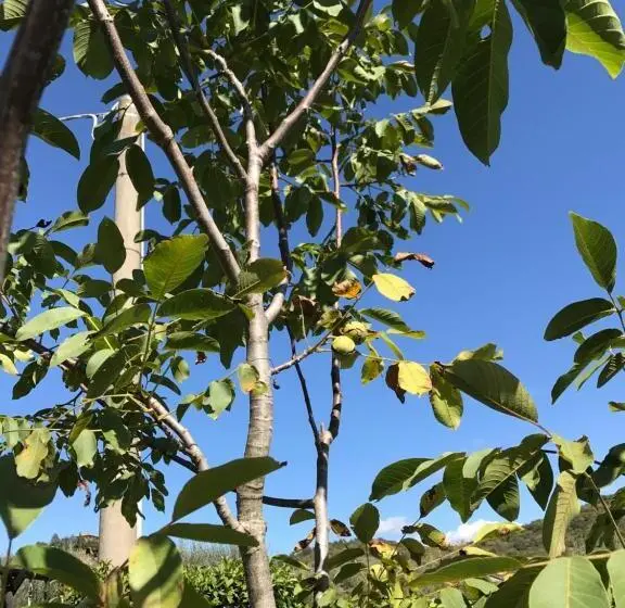 家族用アパートメント, Azienda Agrituristica I Tre Casali