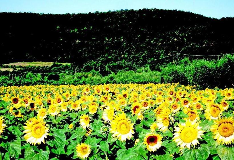 Апартаменты 1 Спальня, Azienda Agrituristica I Tre Casali