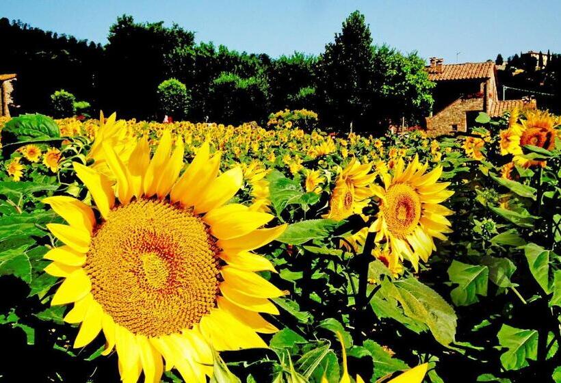 Апартаменты 1 Спальня, Azienda Agrituristica I Tre Casali