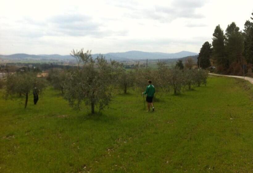 Апартаменты 1 Спальня, Azienda Agrituristica I Tre Casali
