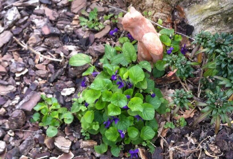 Апартаменты 3 Спальни, Azienda Agrituristica I Tre Casali