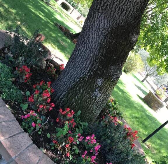 Студия Стандарт, Azienda Agrituristica I Tre Casali