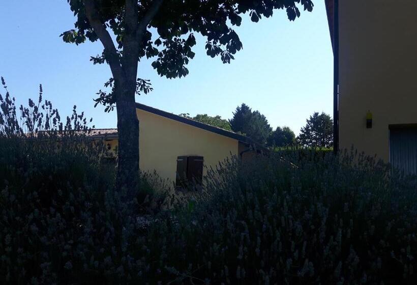 Номер Стандарт, Agriturismo La Selva