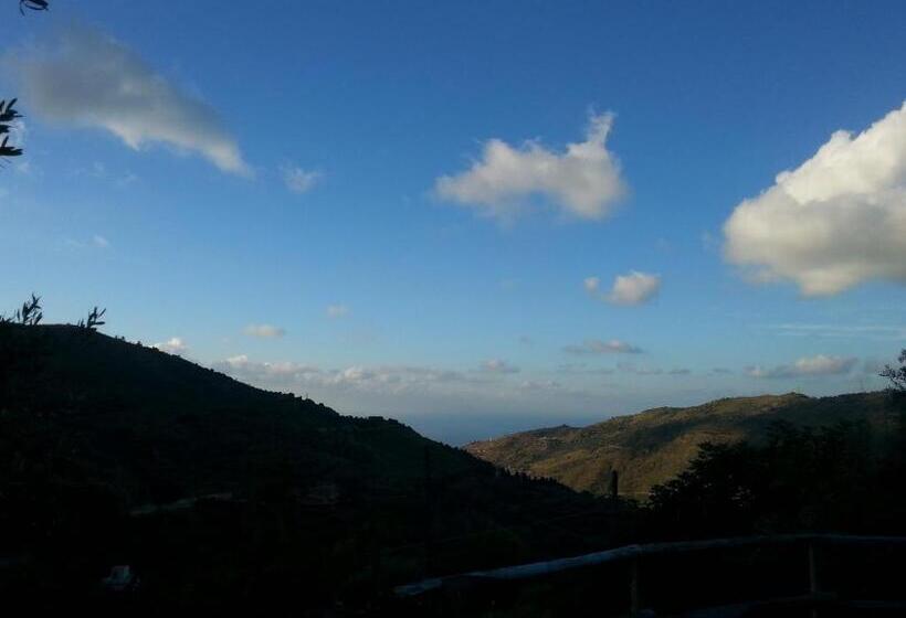 غرفة قياسية, L'uliveto