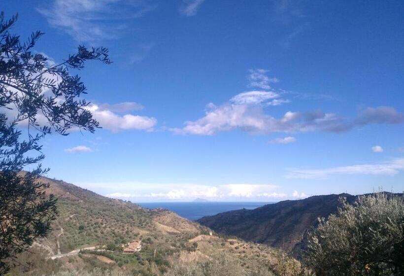 غرفة قياسية رباعية, L'uliveto