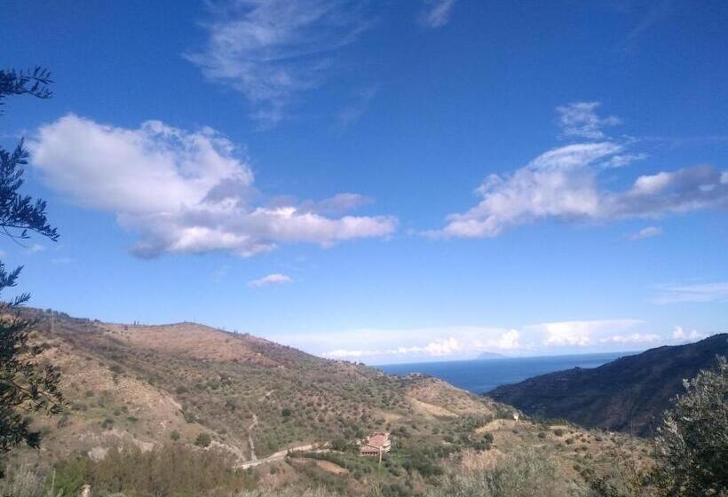 منزل غرفة نوم واحدة, L'uliveto