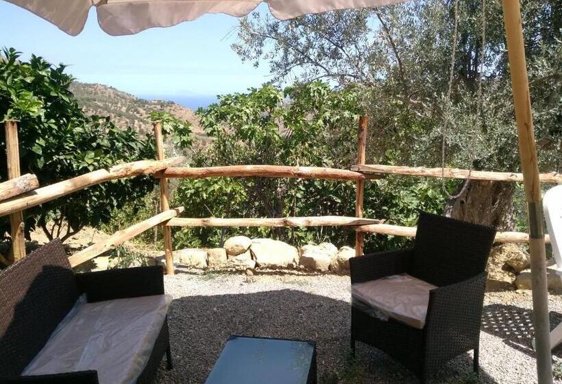 منزل غرفة نوم واحدة, L'uliveto