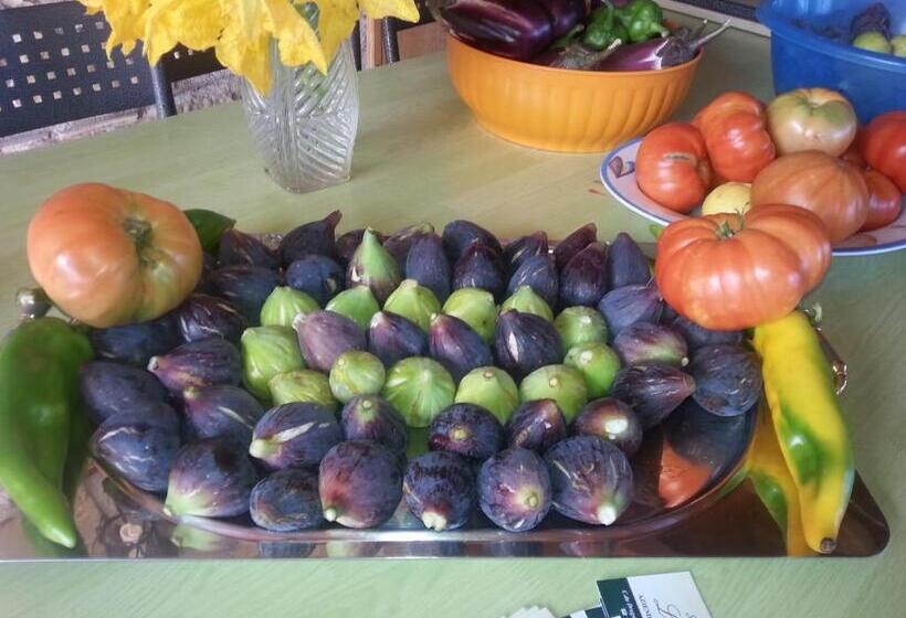 منزل غرفة نوم واحدة, L'uliveto