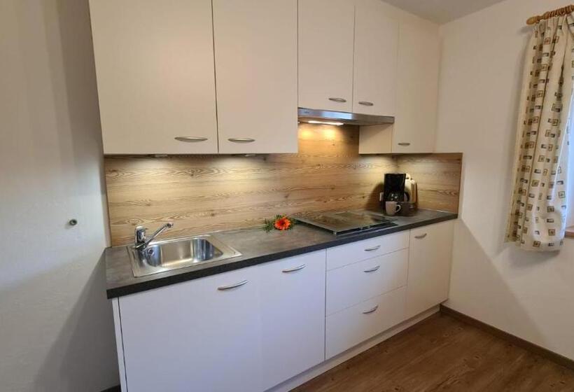 Апартаменты 1 Спальня, Planitzhof