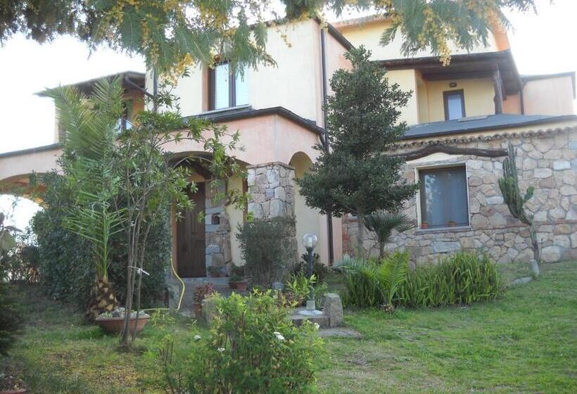 Номер Стандарт, Munduge B&b