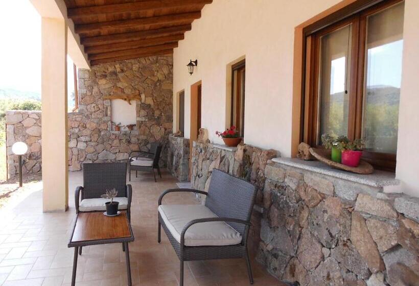 Standard-huone Terassi, Munduge B&b