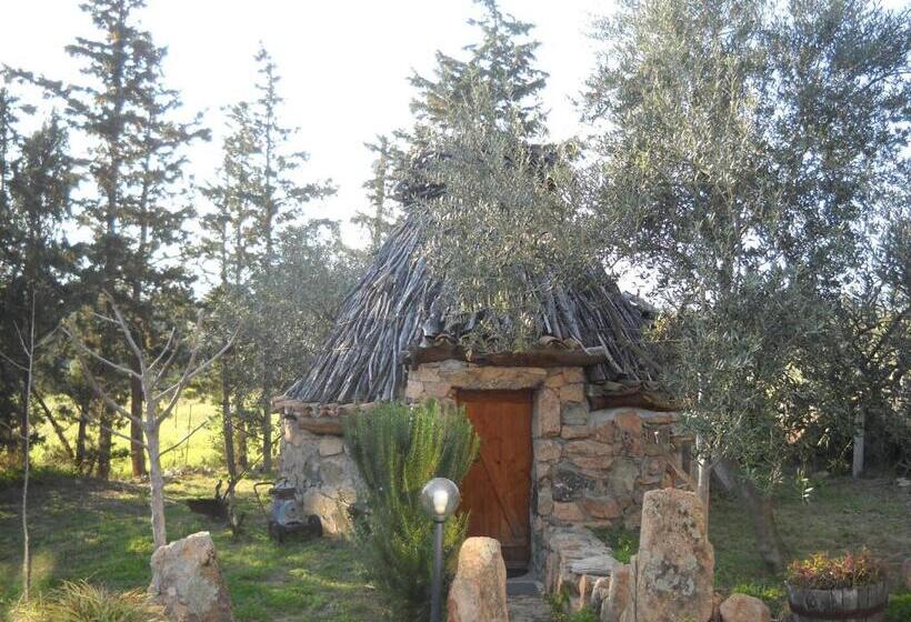Basic-huone, Munduge B&b