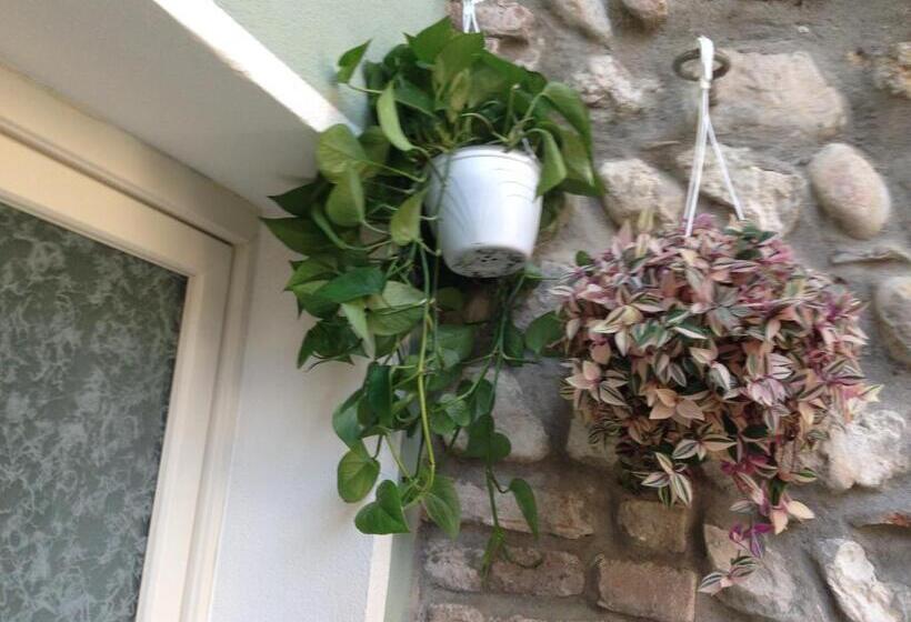 ジュニアスイート, Oreste Suite