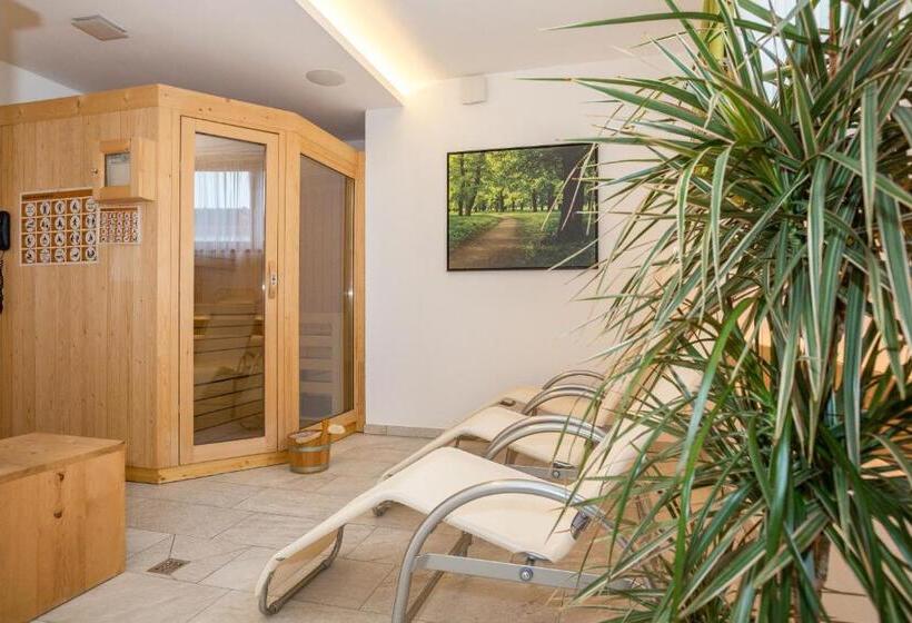 חדר סטודיו סטנדרד, Residence Aichner