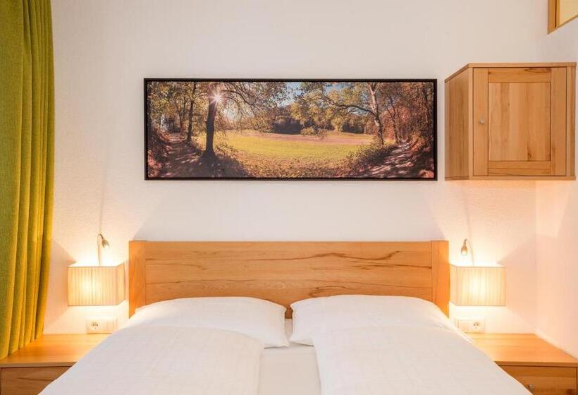 סטודיו בסיסי, Residence Aichner