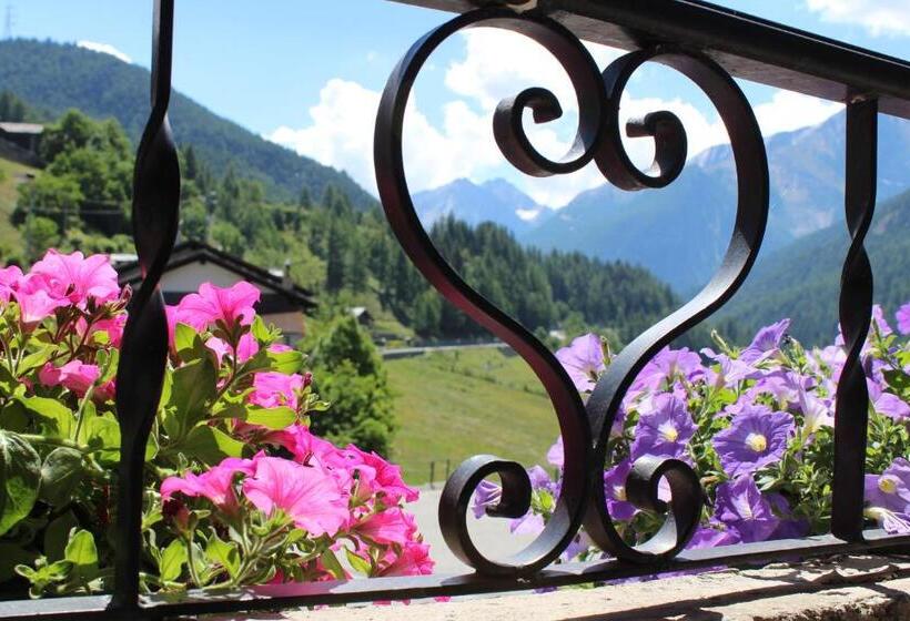 Студия Стандарт, Residence Pavou