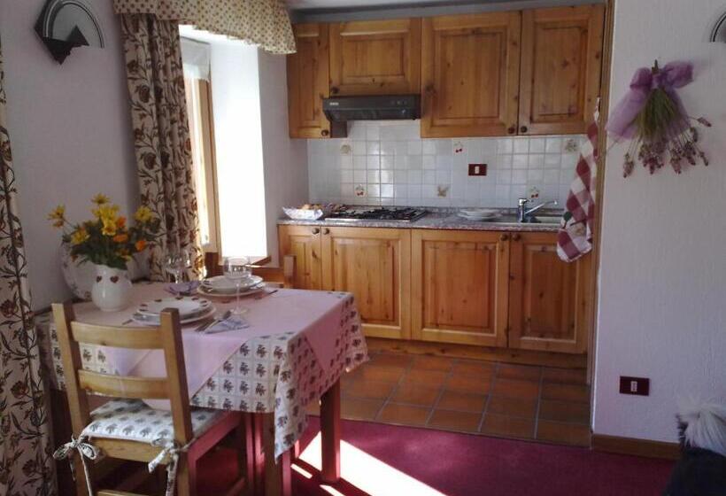 Студия Стандарт, Residence Pavou