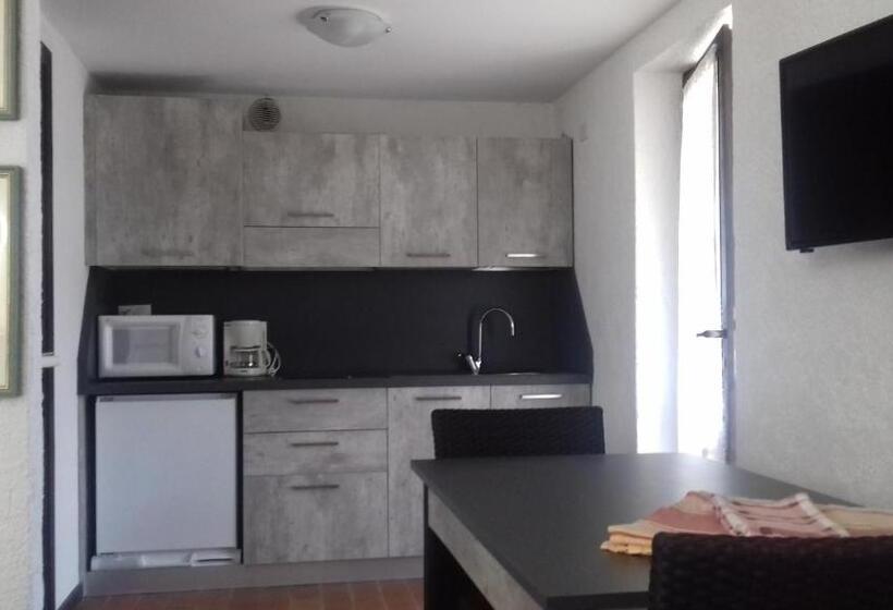 Standard studio with lake view, Residence San Michele