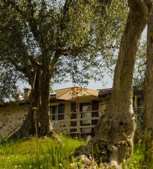 Апартаменты 1 Спальня Вид на Сад, Residence San Michele