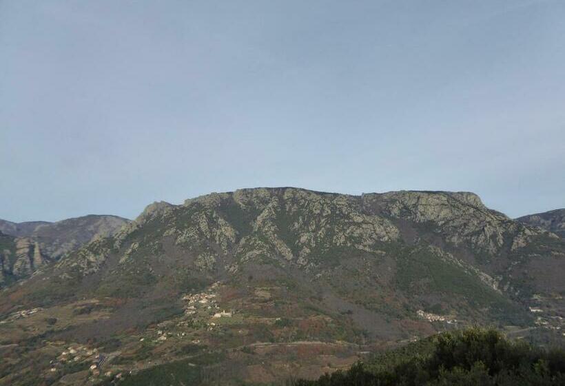 غرفة قياسية, Hôtel Belleville