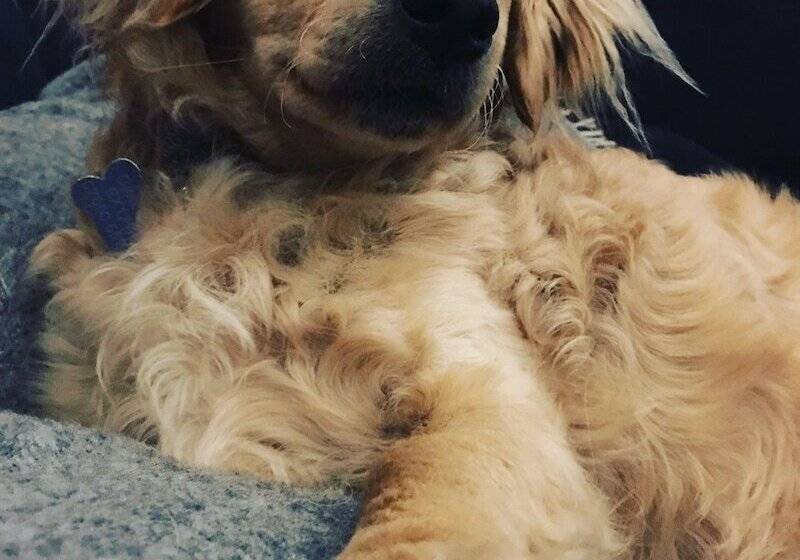 标准间, Union Road Moto Velo Accommodation