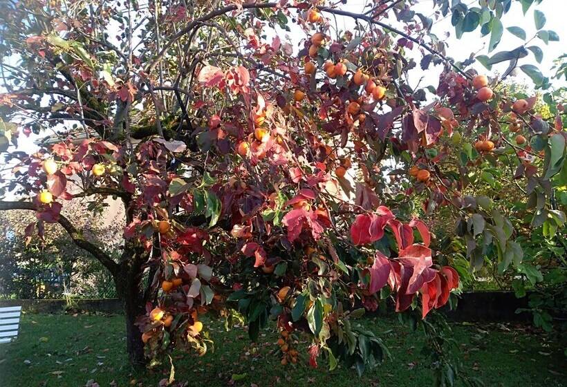 标准间, Chez Colombine