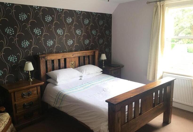 スタンダードルーム, The Half Moon