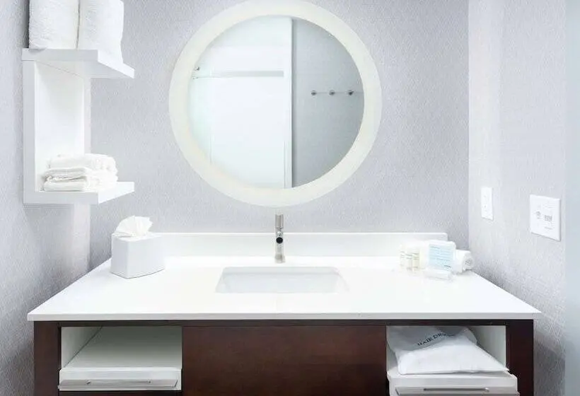 身障者適用スタンダードルーム, Hampton Inn & Suites Atlanta  Decatur/emory